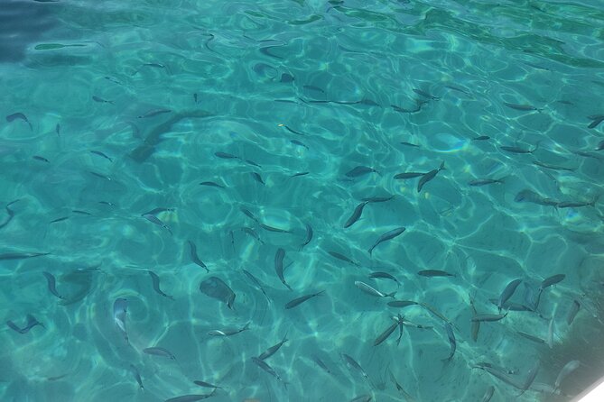 4-Hour Private Boat Tour in Corfu - Snacks, drinks, and onboard comfort: why it feels easy