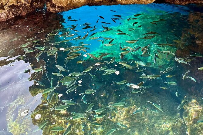 A Relaxing Private Corfu Sea Tour for Cruise Passengers - Stop 3: Blue Caves and the Saint Arsenios Church—Rock Views and Cool-Water Swim Time