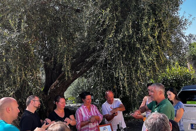 Cooking Classes and olive oil tasting.The real taste of Greece! - Hands-on Greek cooking with a wood-fired oven