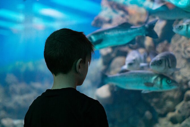 Corfu Aquarium Ticket with Tour Included - Key Points I’d Prioritize Before You Go