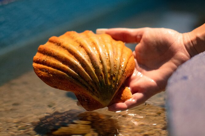 Corfu Aquarium Ticket with Tour Included - Ticket Value: Admission Included for $12.07