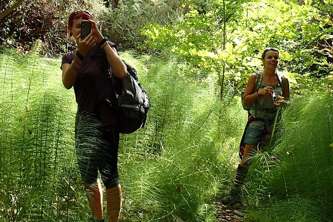 Corfu Countryside Hiking Tour - Key things that make this hike work well