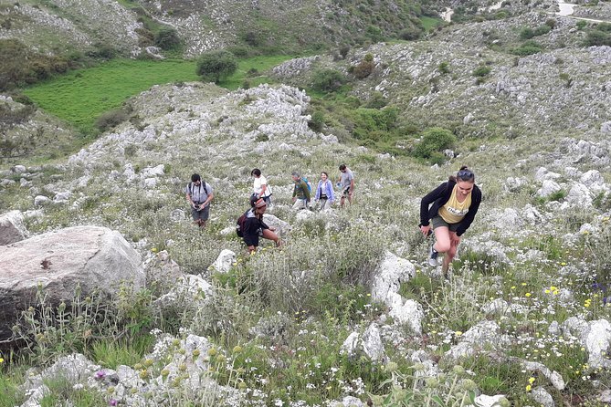 Corfu Countryside Hiking Tour - Getting to Dassia and your 9:30 a.m. start