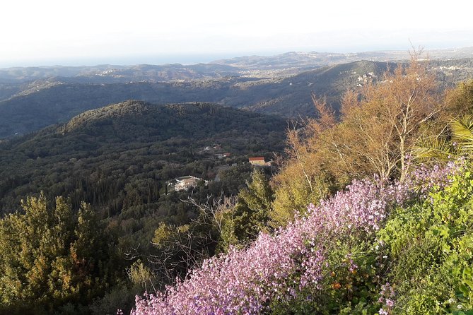 Corfu Countryside Hiking Tour - The guide experience: what you gain from walking with locals
