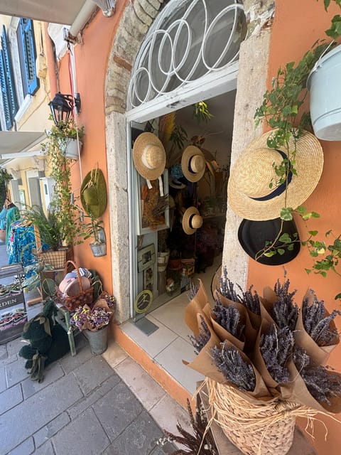 Corfu: Dog Sightseeing Tour - Key highlights worth knowing