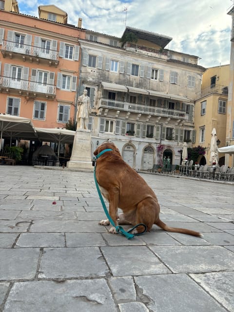Corfu: Dog Sightseeing Tour - Saint Spiridon church: the history stop that actually lands