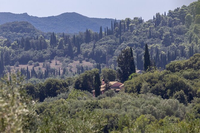 Corfu Grand Island VIP Tour - Lakones (Gods’ Balcony): heart-shaped bay views and a Greek snack stop