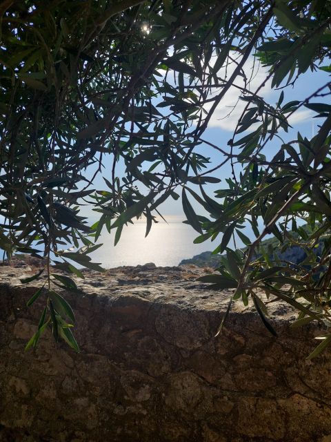 Corfu: Hiking in Olive Groves,Village,Sunset,with Swim Stop - Setting Off From Liapades: Pastry First, Questions Welcome