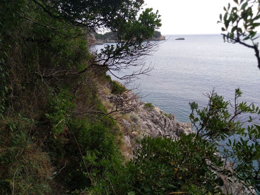 Corfu: Hiking in Olive Groves,Village,Sunset,with Swim Stop - Small Group Feel: Better Attention, Easier Pacing