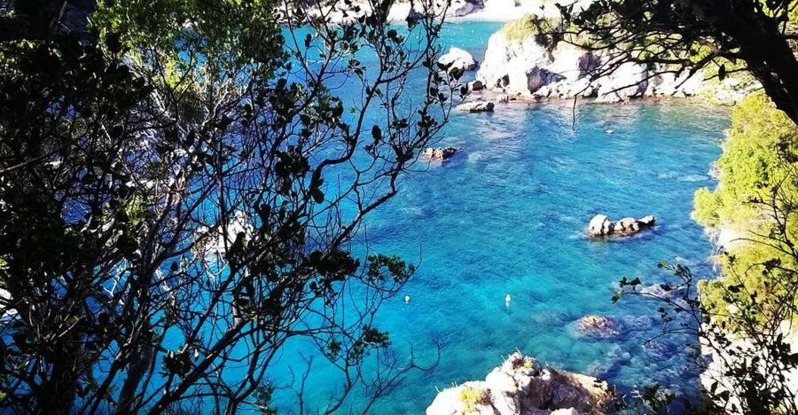 Corfu: Hiking in Olive Groves,Village,Sunset,with Swim Stop - Olive Groves to Rovinia: Narrow Trails and Big Views