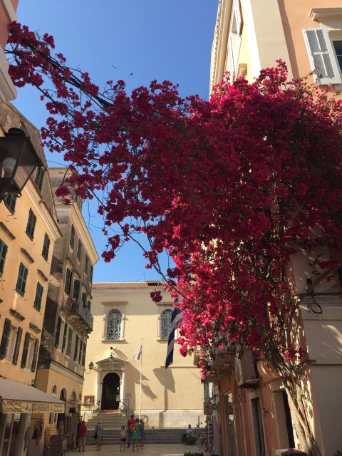 Corfu: History and Culture Walking Tour - Key points worth knowing before you go