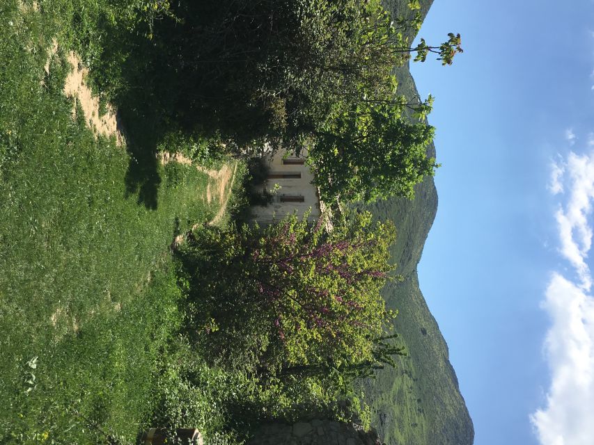Corfu: Northwest Coast and Village Charms 4x4 Tour - Enotis Olive Oil Mill in Vistonas: More Than a Quick Tasting