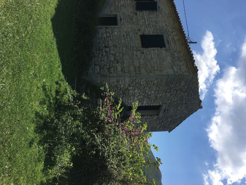 Corfu: Northwest Coast and Village Charms 4x4 Tour - Lunch at the Tavern, Then Alimmatades: The Local Flavor Payoff