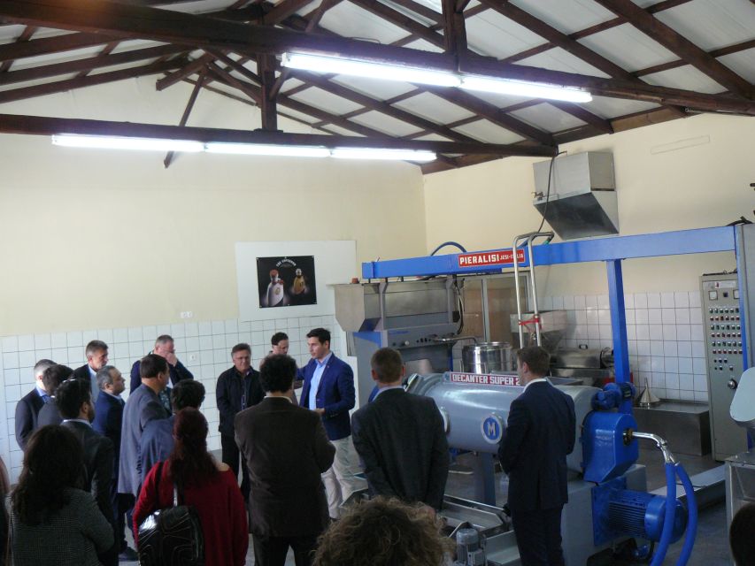 Corfu: Olive Oil Experience - The Governor's Olive Mill - The Governor’s Olive Mill: more than a showroom tour