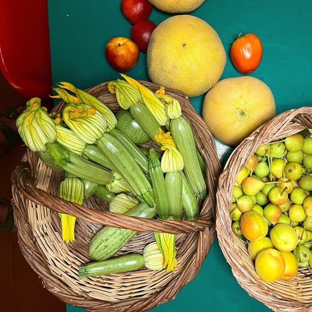 Corfu: Organic Olive Oil Farm Tour with Transfer and Tasting - Walking the Olive Groves With the Owners: What You Learn in 2 Hours