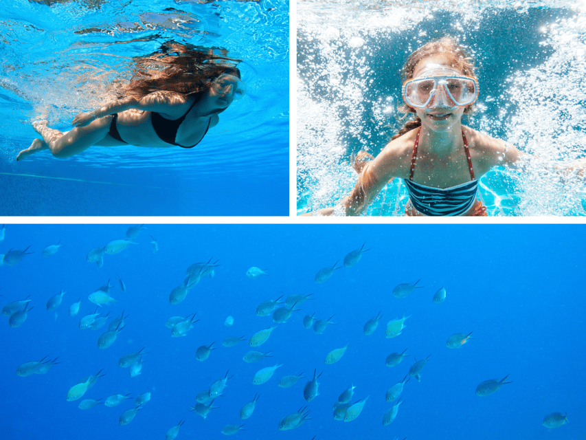 Corfu: Paxos Island Full-Day Cruise with Blue Caves - Who should book this Paxos Blue Caves day trip