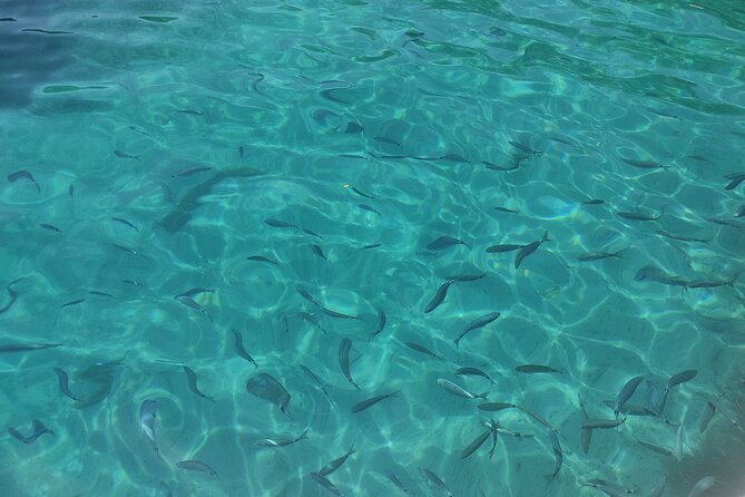 Corfu: Private Boat Tour - Why This Corfu Private Boat Cruise Feels Like a Coastline Upgrade
