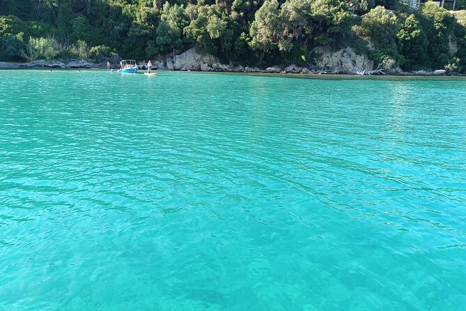 Corfu: Private Boat Tour - Getting There: Old Port Meeting Point and Cruise-Ship Reality