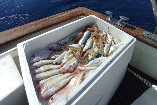 Corfu Private Fishing Cruises - Snorkeling Gear and a Swim Break: Make Time for Sea Life