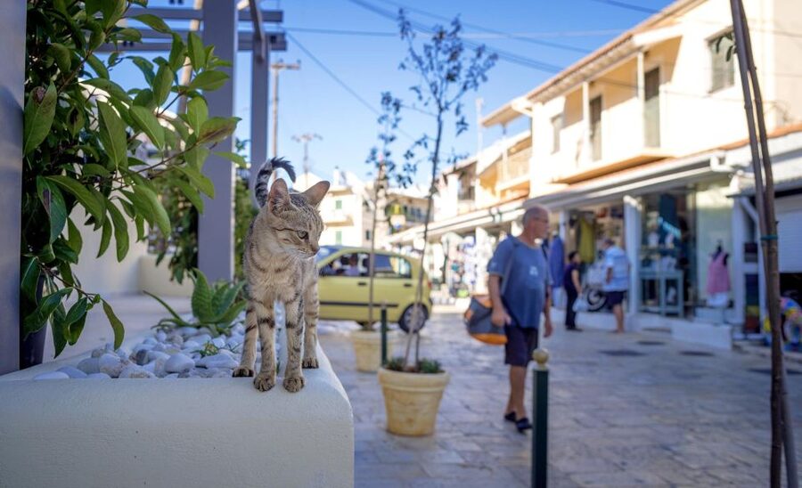 Corfu: Shore & Shared Tour – Kassiopi & Canal d’Amour - Who should book this tour, and who might skip it