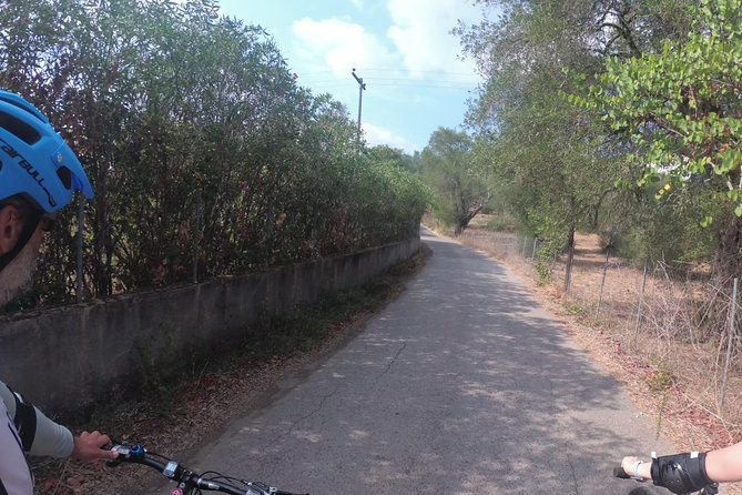 e-MTB Tour - Durrells Farm & Crab Lake [30Km - 18Mi] - Key highlights
