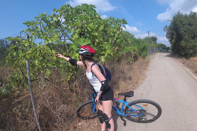 e-MTB Tour - Durrells Farm & Crab Lake [30Km - 18Mi] - From Kerkira to Poulades: how the start sets the tone