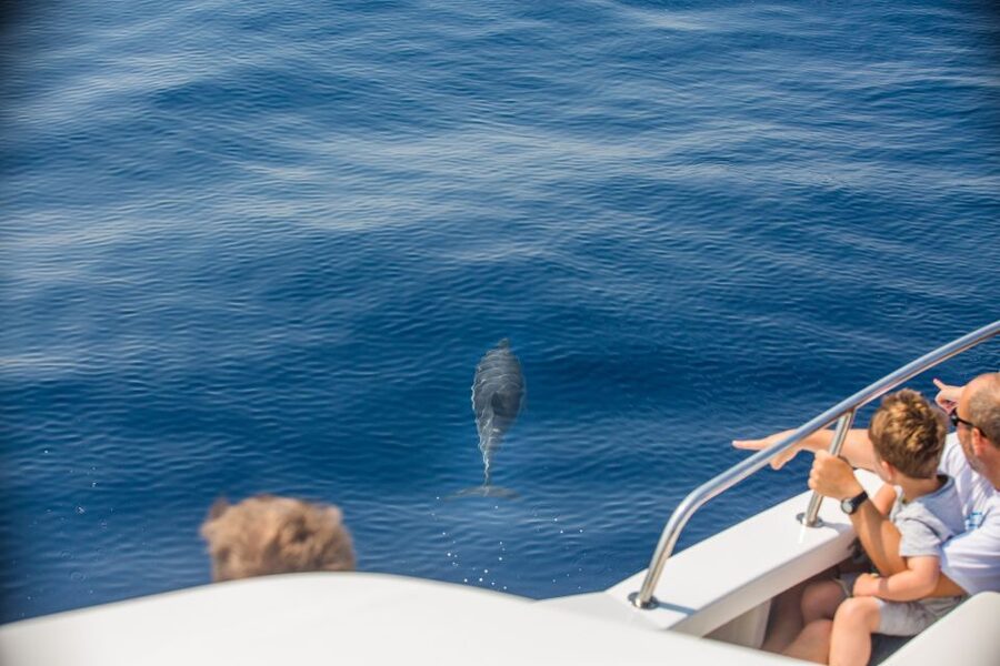 From Lefkimmi: Paxos, Antipaxos & Blue Caves Speedboat Tour - Gaios on Paxos: shopping and lunch with a real town feel