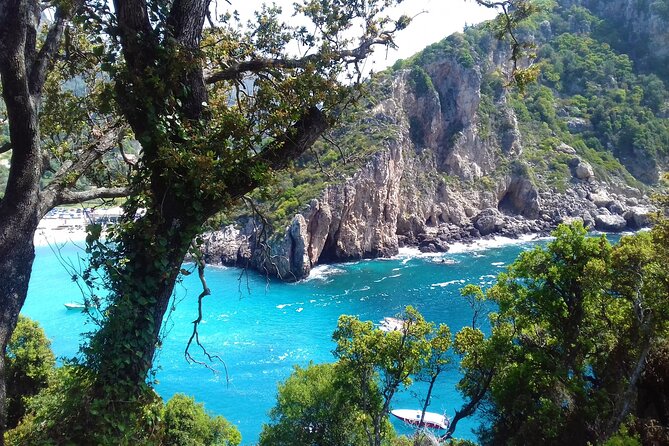 Full Day Private Tour to the North of Corfu Island - Entering North Corfu Like a Local (Not a Bus Schedule)
