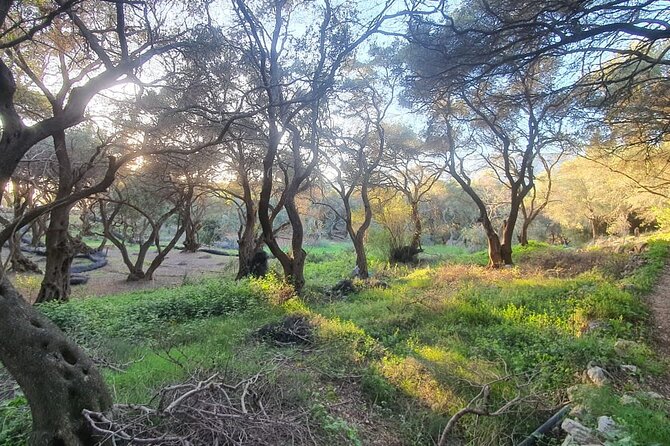 Hiking in the Olive Groves,Villages,Sunset,with Swim Stop - A 6:00 pm start that turns a hike into a sunset plan