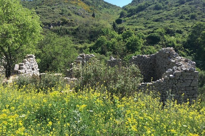 Land rover Safari Premium to the hidden gems of Northwest Corfu - Key highlights you’ll feel on the day