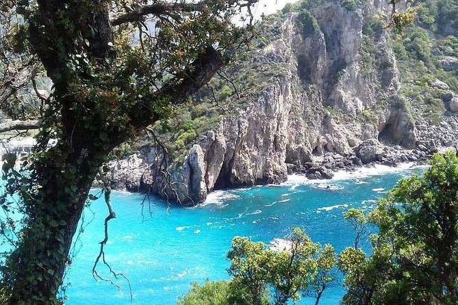 Leisurely Tour of Corfu - Corfu shore day, without the stress: port pickup and a tight timeline