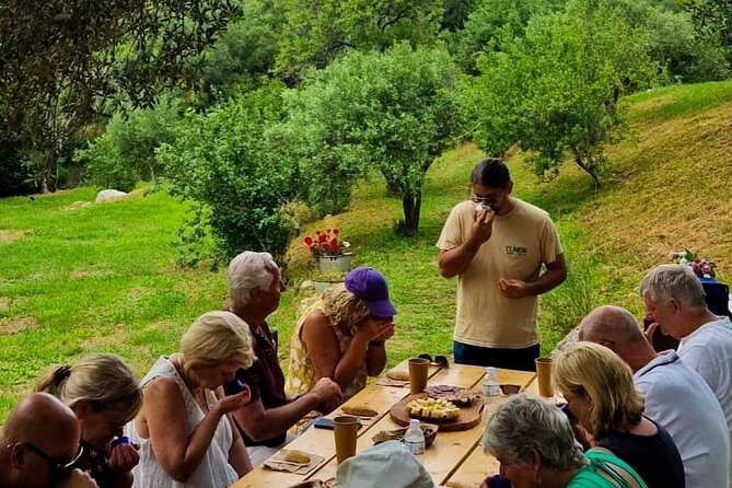 North Corfu Olive Tour With Olive oil Tasting & Meze - Who should book (and who might skip it)