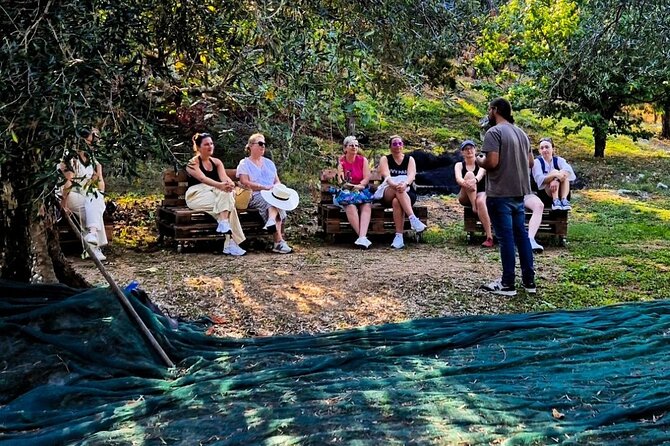 North Corfu Olive Tour With Olive oil Tasting & Meze - The Olive Mill & Press: early 19th-century production mechanics