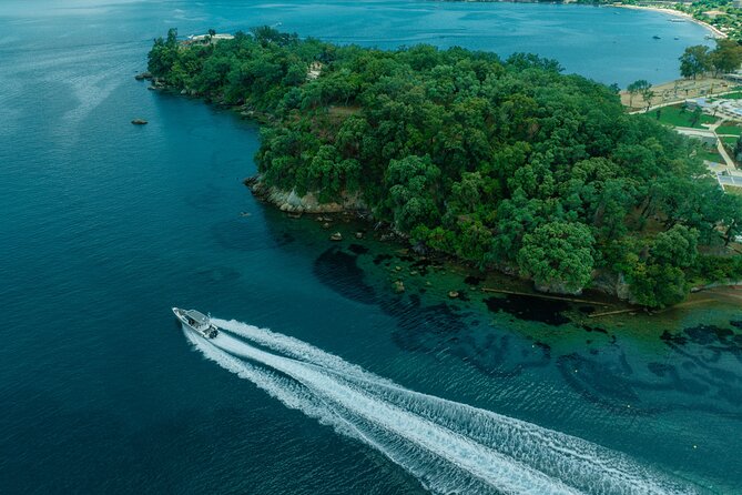 Private Half Day Cruise on a Speed Boat in Corfu island - Price and value for a private group up to 8