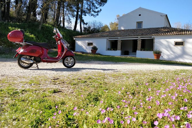 Savour The Flavors Of Corfu Vespa Scooter Tour - Lazaris Distillery & Artisan Sweets: kumquat, fig pie, and Corfu’s sweet side
