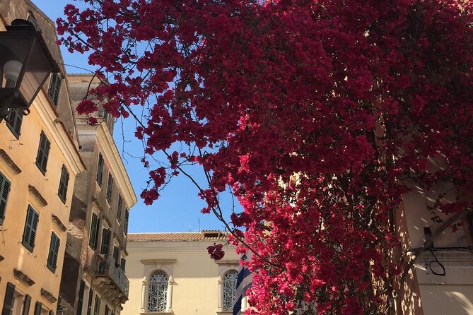 Small-group Corfu Town Historical Walking Tour - The Jewish quarter (Evraiki): a walk through memory and scars