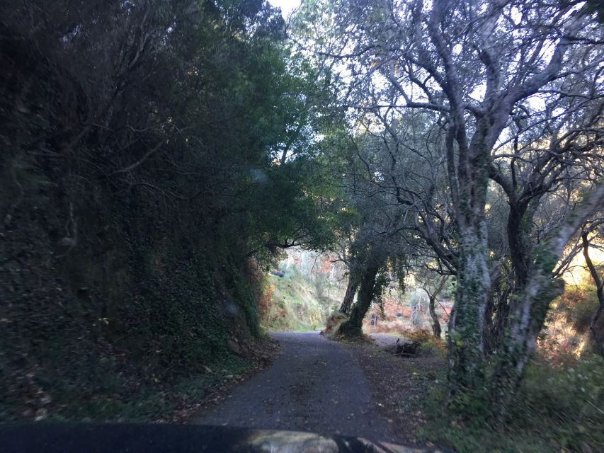 South Corfu Premium 4x4: Villages, Views & Flavours - Korission Lake and Tagio Canale wetlands: nature time, not a bird-show guarantee