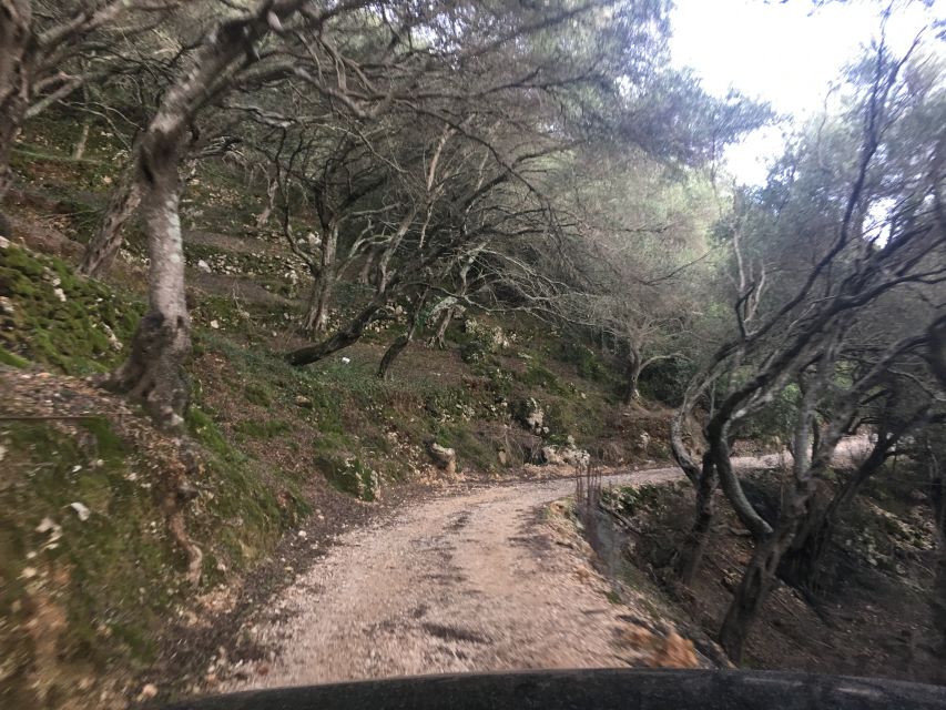South Corfu Premium 4x4: Villages, Views & Flavours - Halikounas Beach swim: your clearest reward for the drive