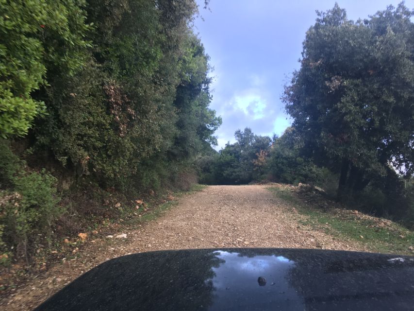South Corfu Premium 4x4: Villages, Views & Flavours - Nyssos Olive Oil Mill: tasting with context (and how to get the most)