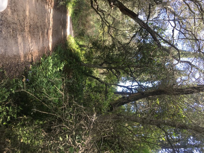 South Corfu Premium 4x4: Villages, Views & Flavours - The real 4x4 experience: who this works for, and who should skip it