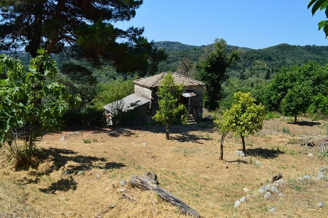 South to Northwest Corfu 4x4: Coastal Dreams &Village Charms - Loggas Beach: cliff views that look made for photos