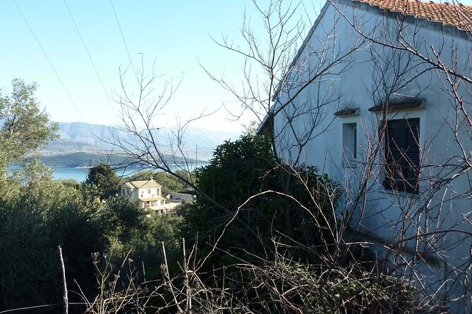South to Northwest Corfu 4x4: Coastal Dreams &Village Charms - Enotis olive groves & museum: what you actually learn (and taste)