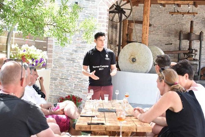 The Governor's Olive Mill Tour with Olive Oil Tasting - Key highlights at a glance