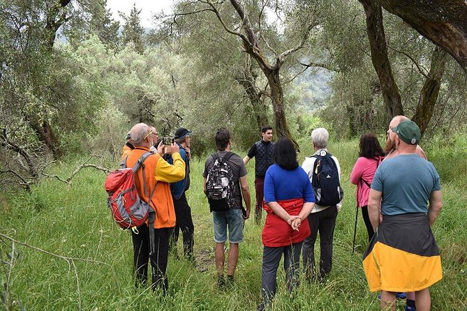 The Governor's Olive Mill Tour with Olive Oil Tasting - Price and value: is $82.23 actually a fair deal?