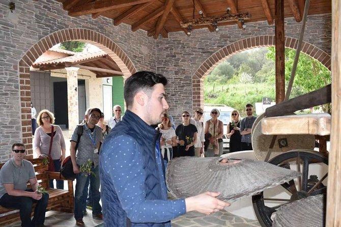 The Governor's Olive Mill Tour with Olive Oil Tasting - Who should book this olive mill tour (and who might want a different day)