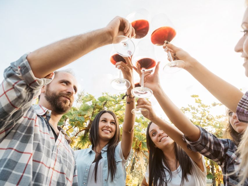 Vineyard Sips: Family Winery Tour & Gourmet Tasting in Corfu - Snacks and Cheese Pairings: Why the Food Makes the Wine Work