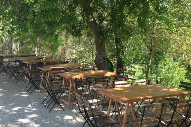 Winery tour with Wine and Olive tasting in Corfu - Tour Format and Timing: what 20 minutes really feels like
