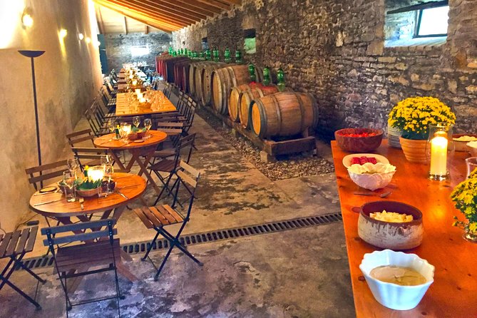 Winery tour with Wine and Olive tasting in Corfu - The Cellar and Production Walkthrough: quick facts with real context