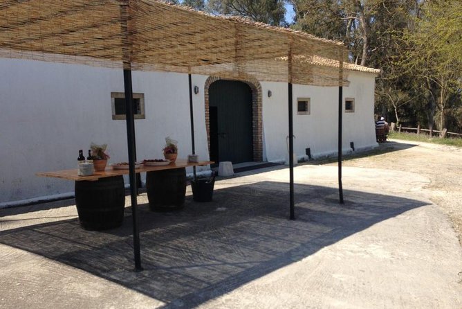 Winery tour with Wine and Olive tasting in Corfu - Weather, Small Print, and What to Do If Plans Change